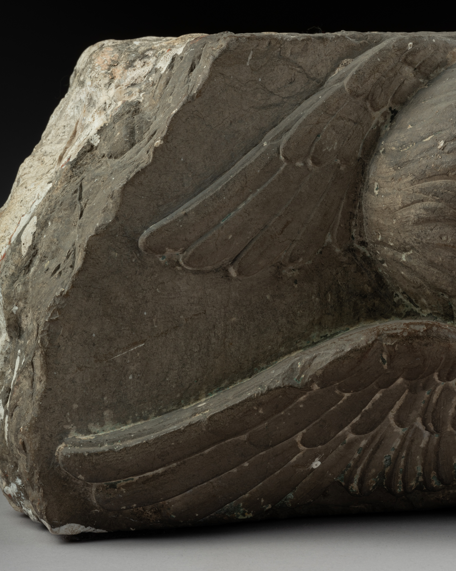 250218_DESMET_inustudio-114